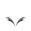 SHOW Token