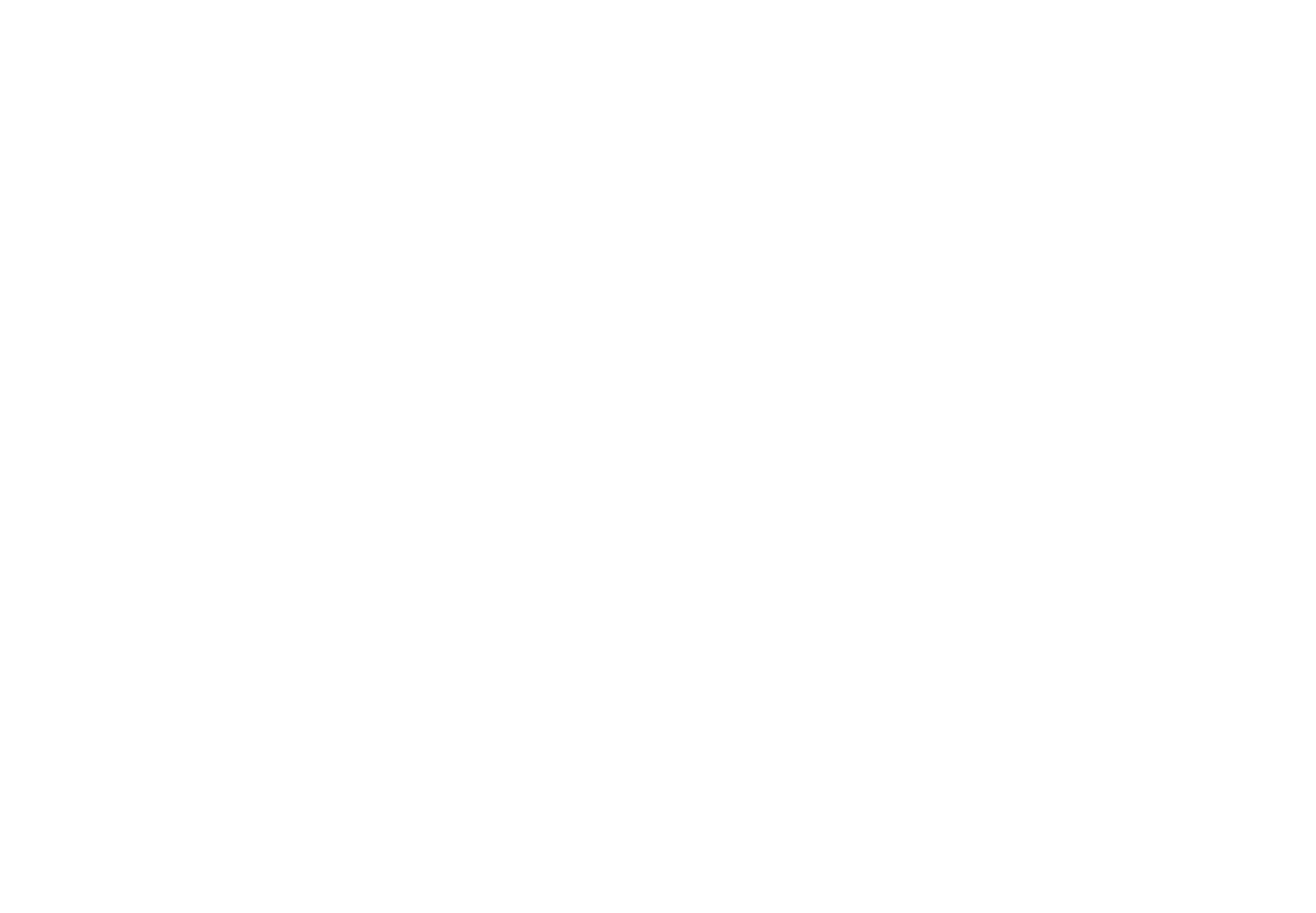 VitaNova outline
